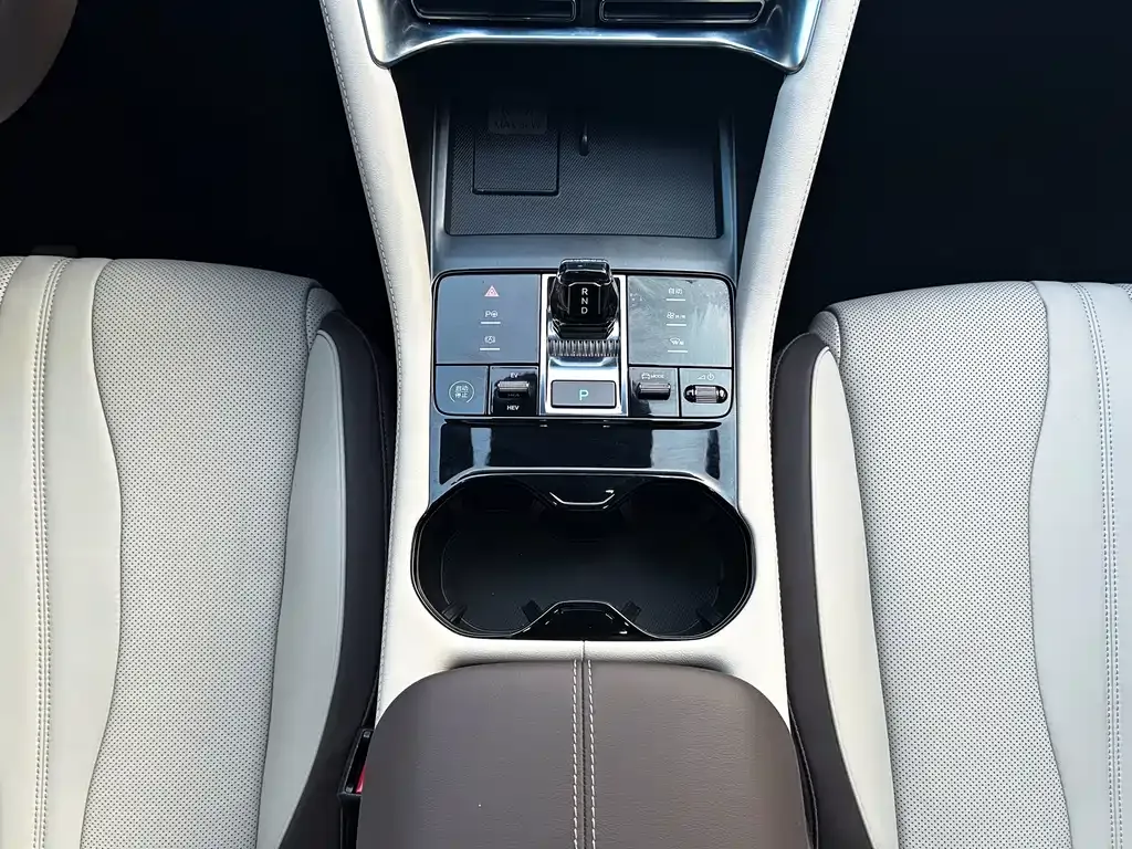 BYD PLUS New Energy 2025 из CN, фото 10
