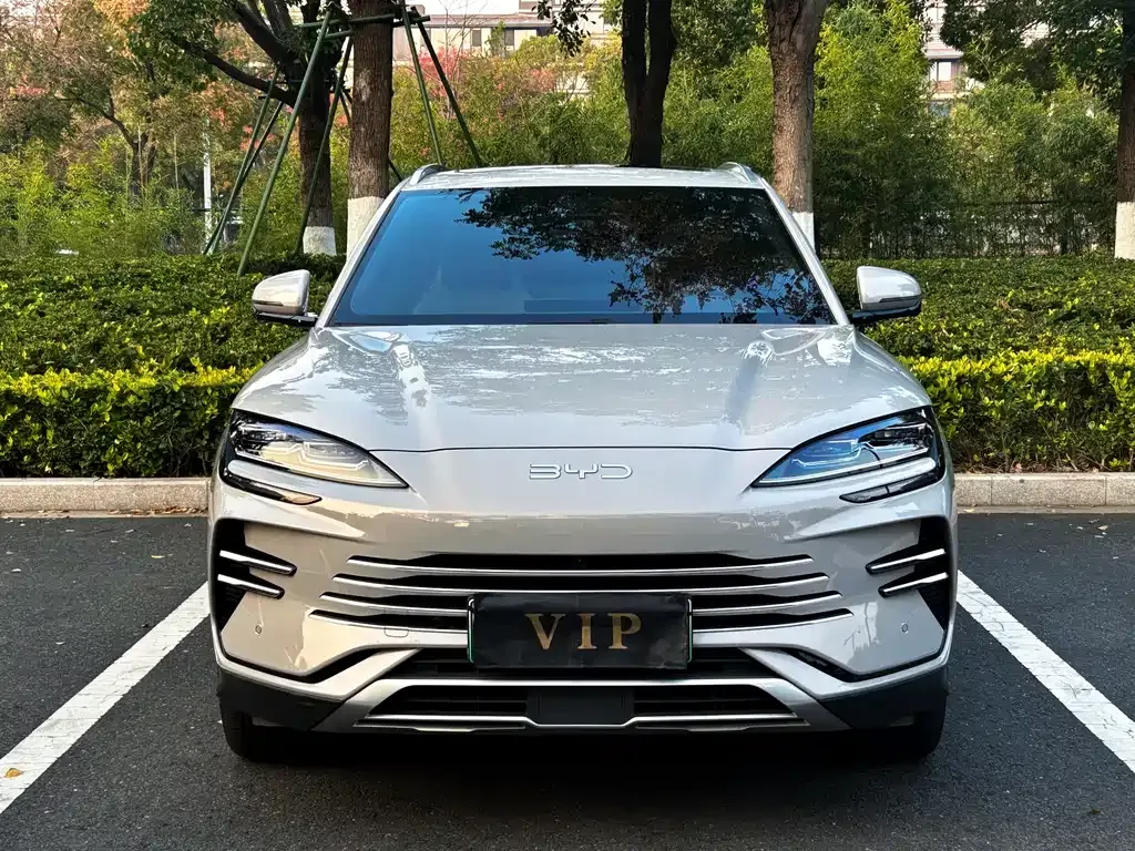 BYD PLUS New Energy 2025 из CN, фото 2