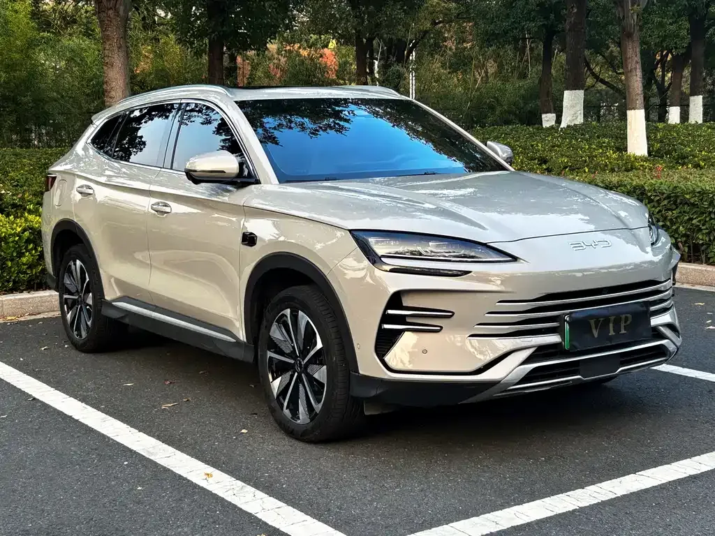 BYD PLUS New Energy 2025 из CN, фото 3