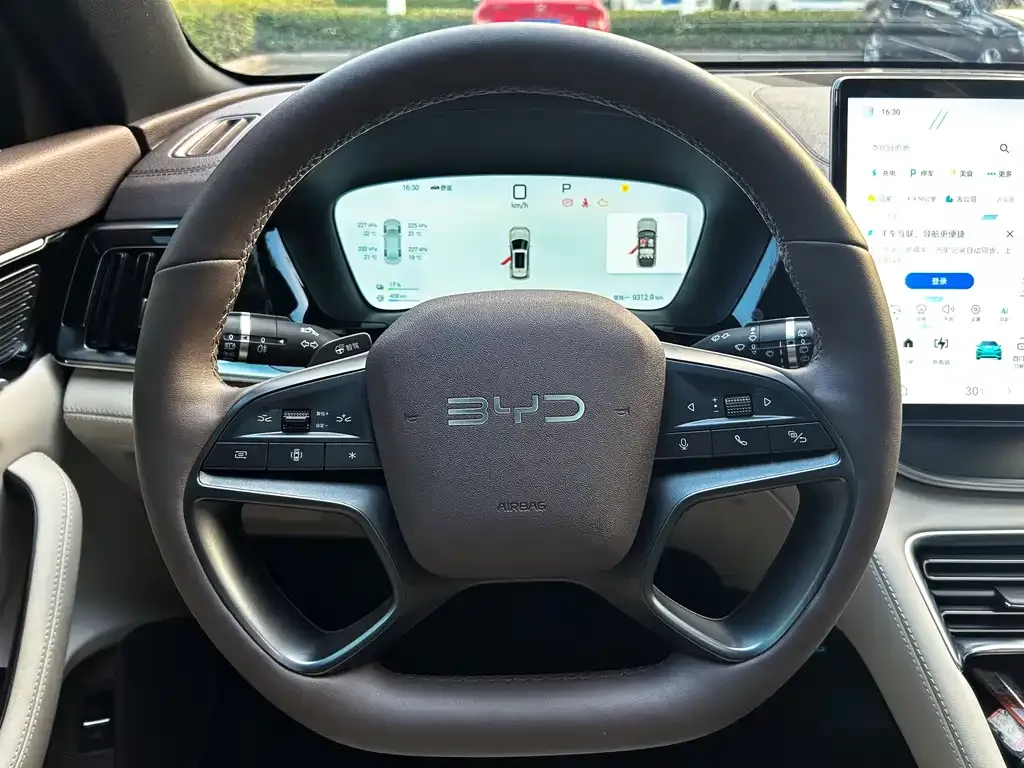 BYD PLUS New Energy 2025 из CN, фото 6