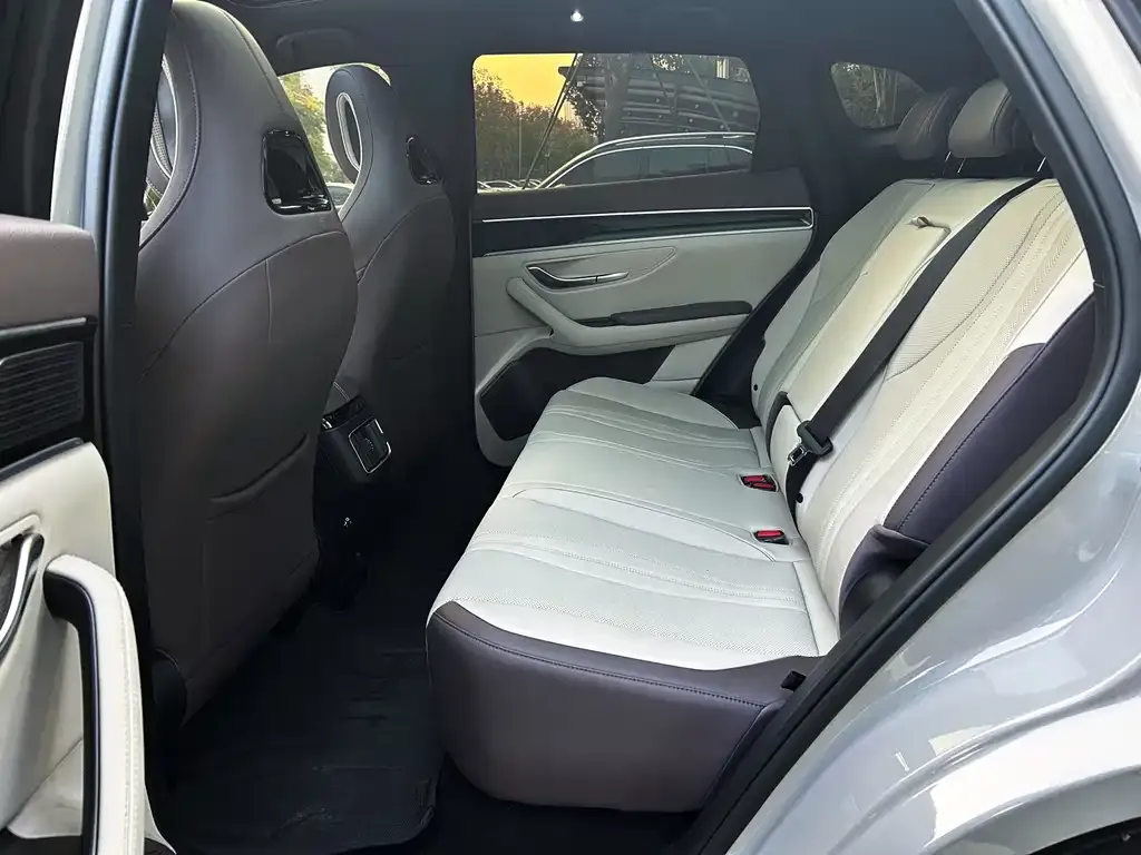BYD PLUS New Energy 2025 из CN, фото 7