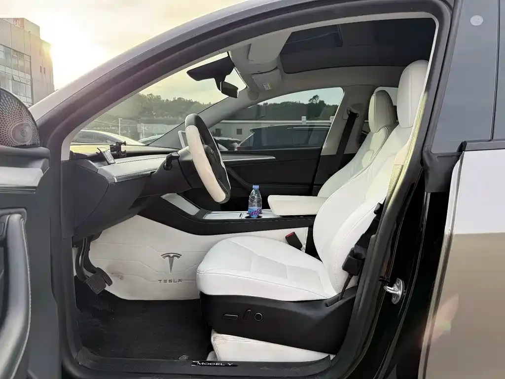 Tesla Model Y 2024 из CN, фото 6