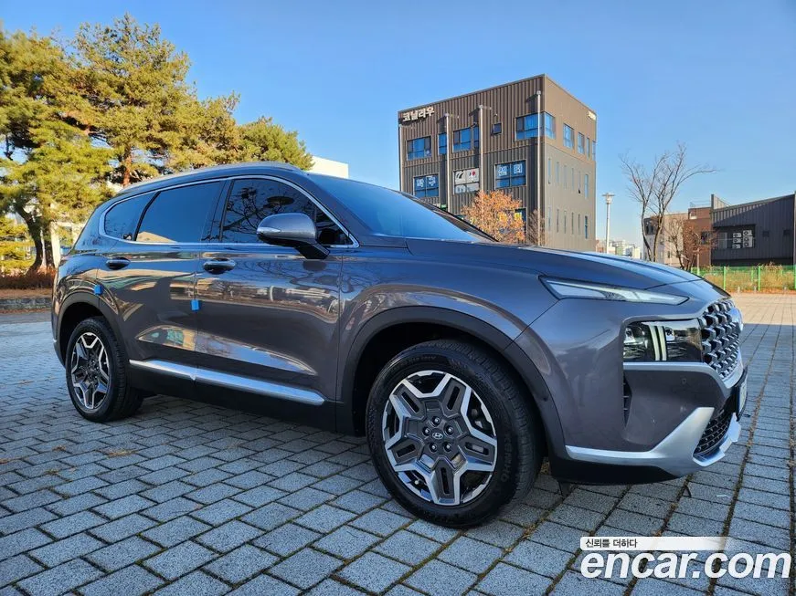Hyundai Santafe 2022 из KR, фото 6