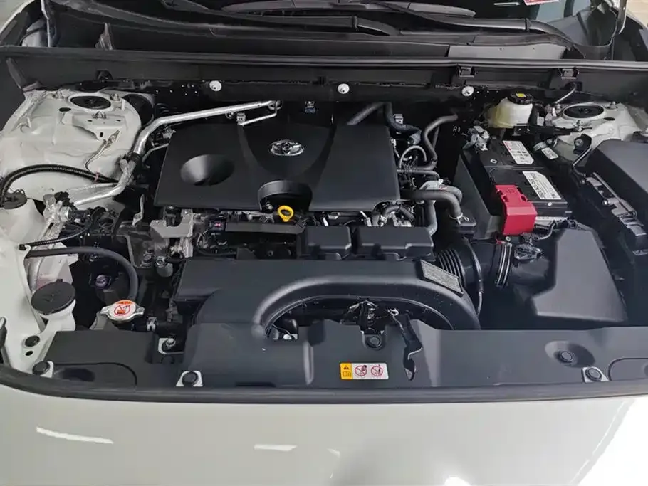 [object Object] Wildlander 2021 из CN, фото 10