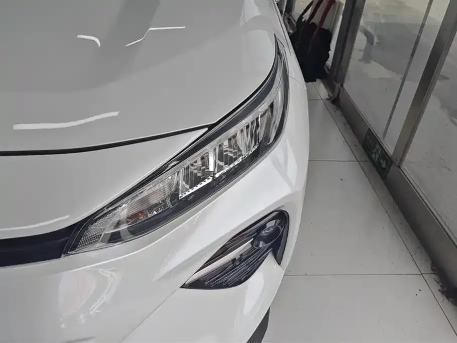 [object Object] Wildlander 2021 из CN, фото 5