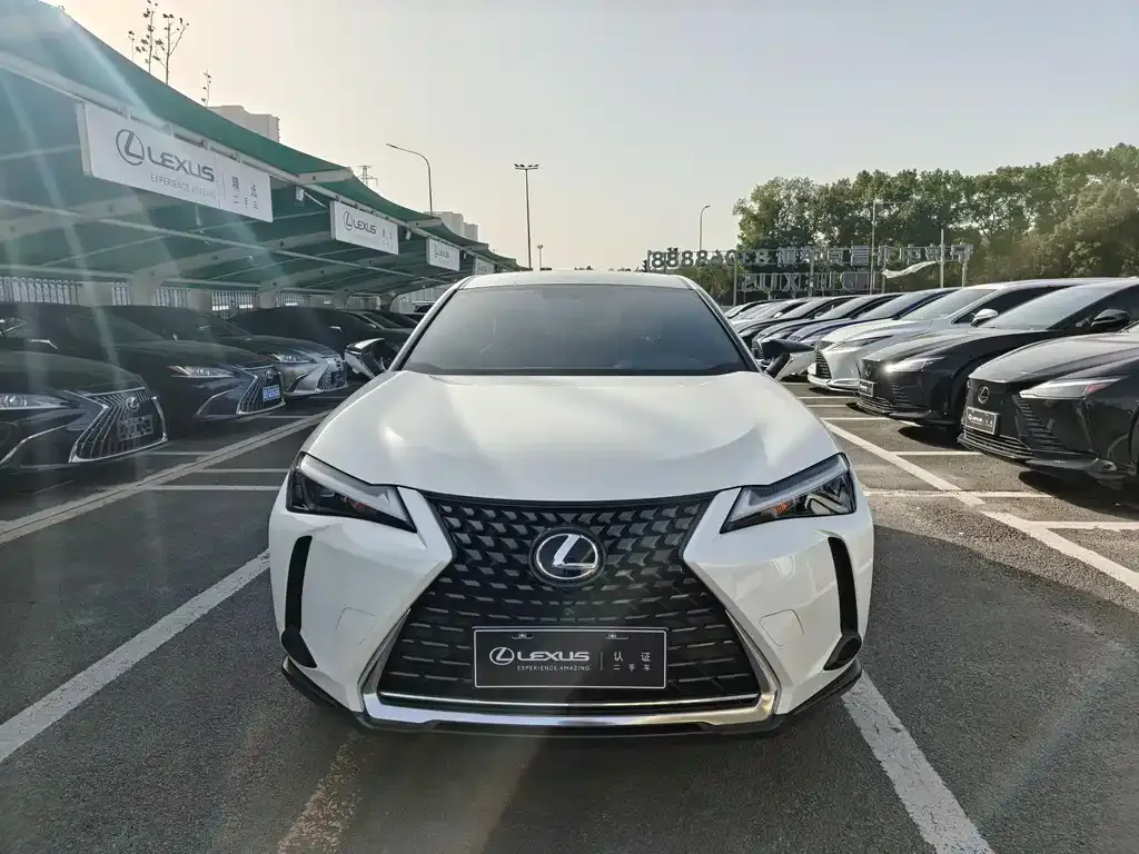 Lexus UX 2024 из CN, фото 2