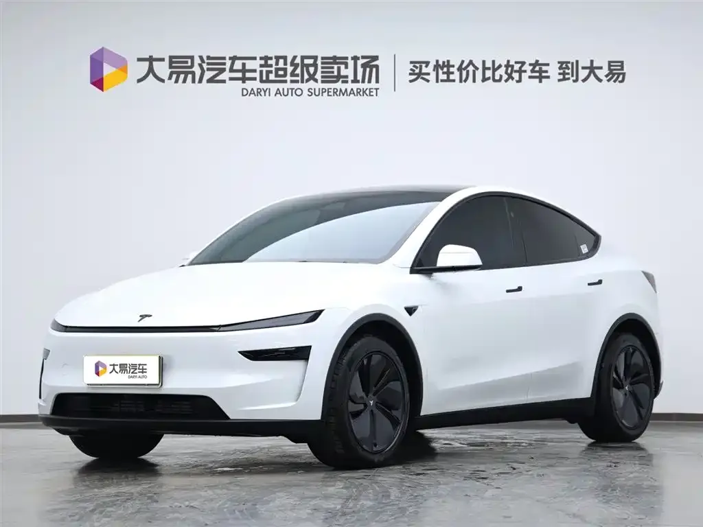 Tesla Model Y 2025 из CN, фото 1