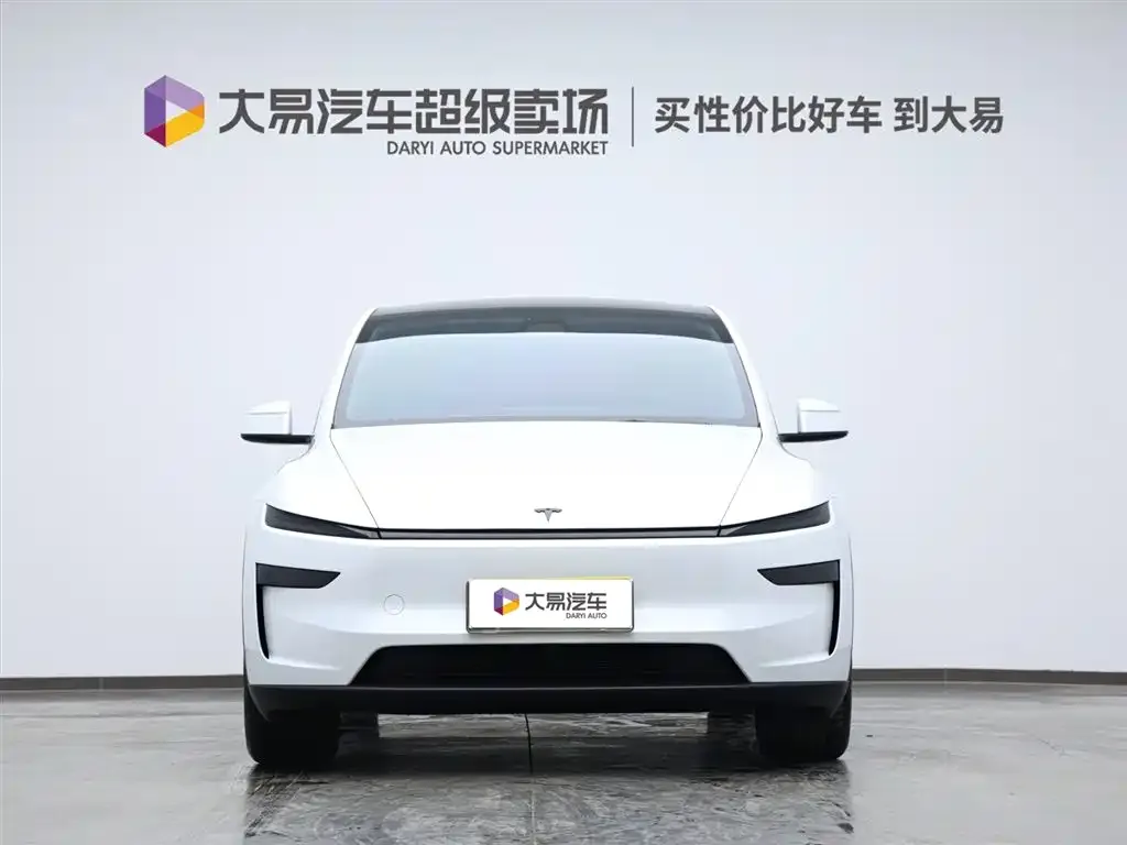 Tesla Model Y 2025 из CN, фото 2