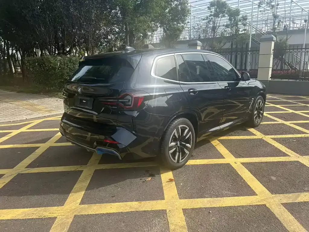 BMW iX3 2021 из CN, фото 4