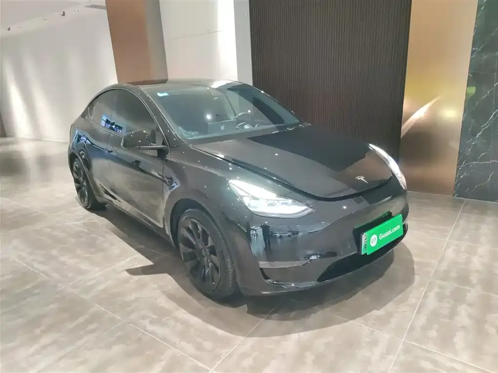 Tesla Model Y 2021 из CN, фото 4