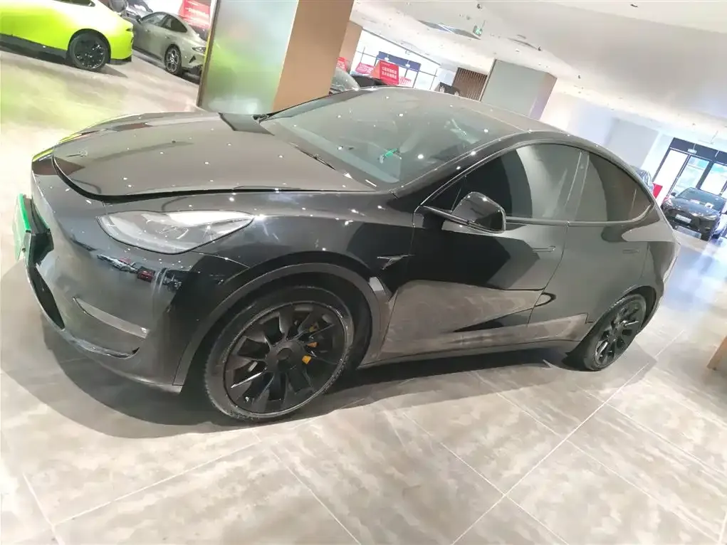 Tesla Model Y 2021 из CN, фото 5
