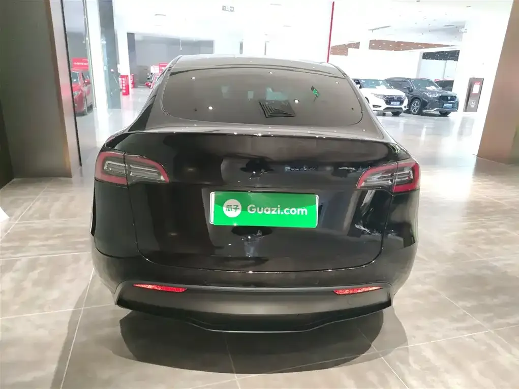 Tesla Model Y 2021 из CN, фото 6