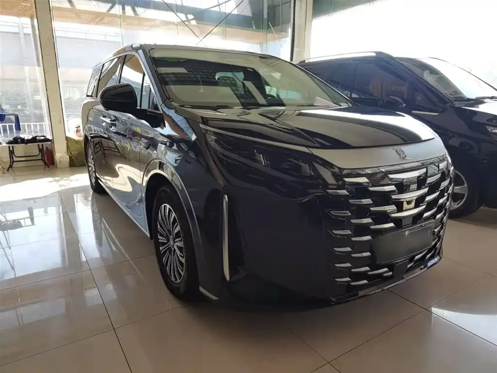 BYD Xia 2025 из CN, фото 4