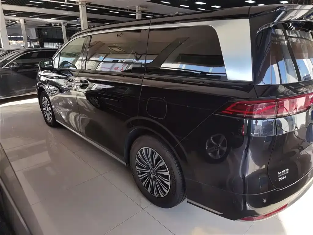 BYD Xia 2025 из CN, фото 5