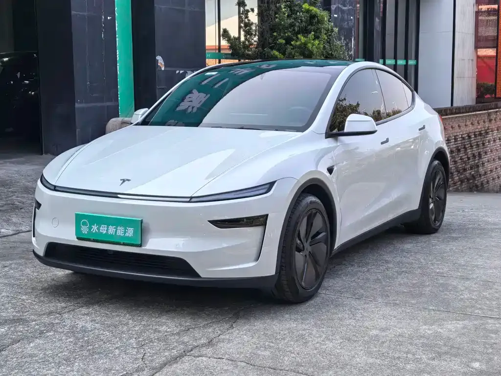 Tesla Model Y 2025 из CN, фото 1