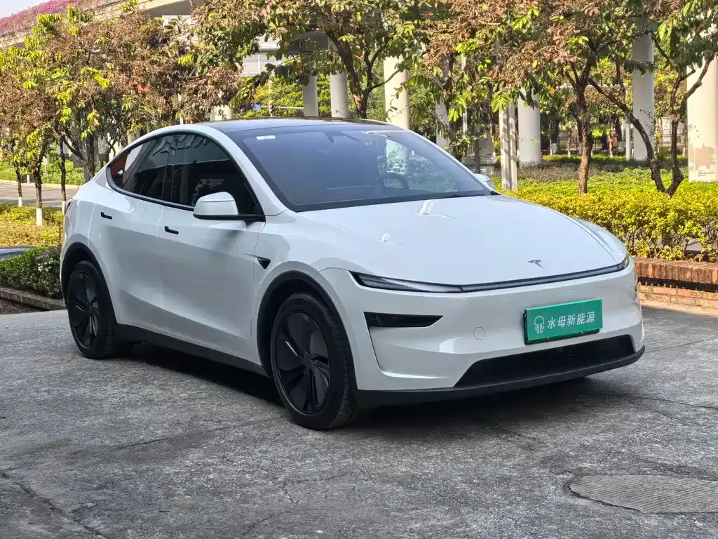 Tesla Model Y 2025 из CN, фото 2