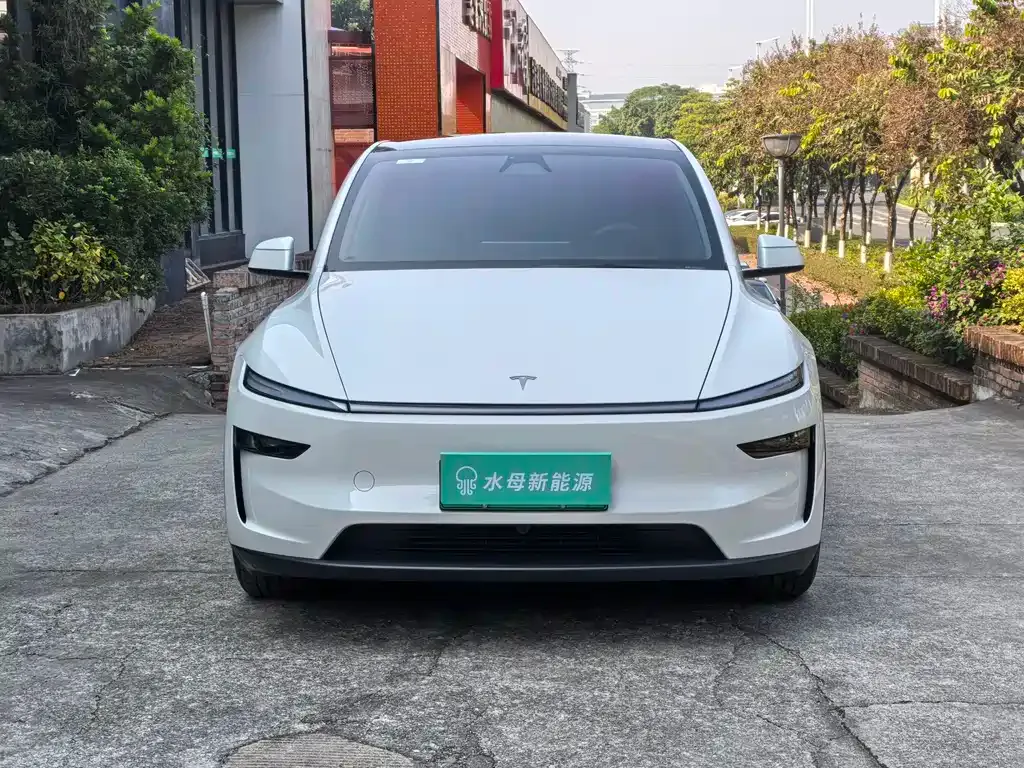 Tesla Model Y 2025 из CN, фото 3