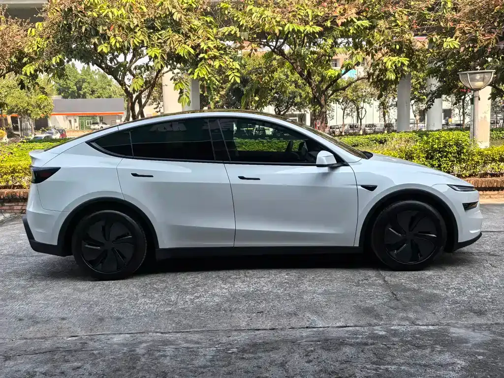 Tesla Model Y 2025 из CN, фото 4