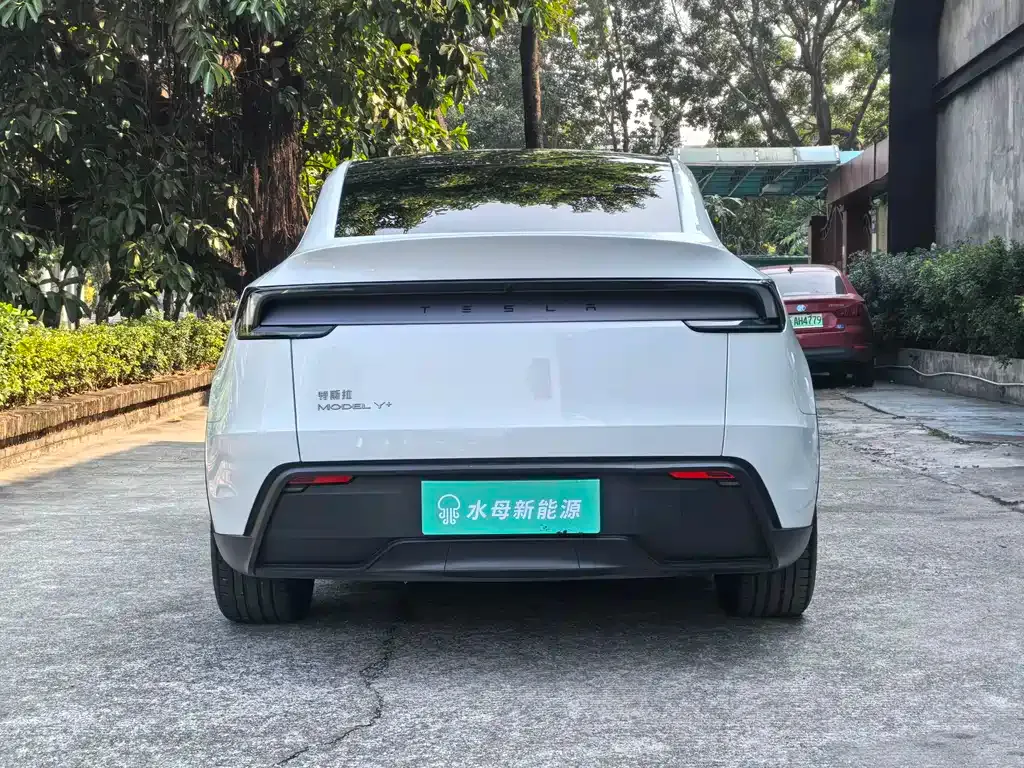 Tesla Model Y 2025 из CN, фото 5