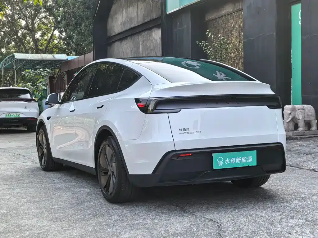Tesla Model Y 2025 из CN, фото 6