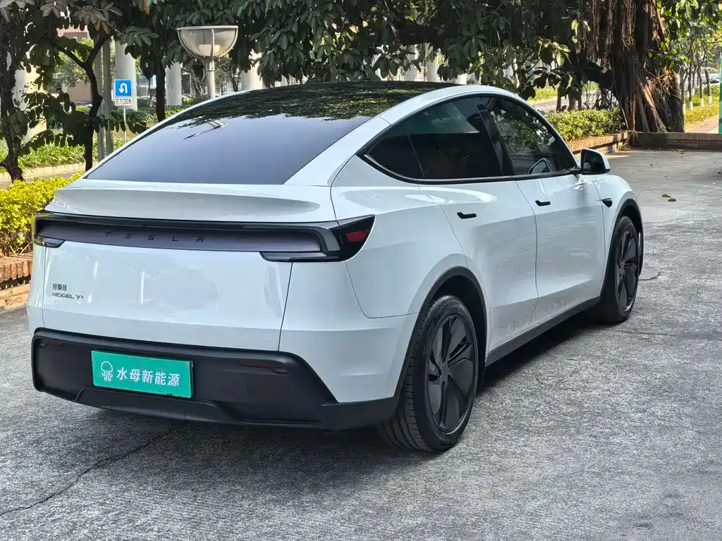 Tesla Model Y 2025 из CN, фото 7