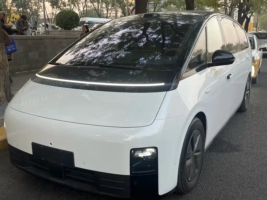Li Auto MEGA 2025 из CN, фото 1