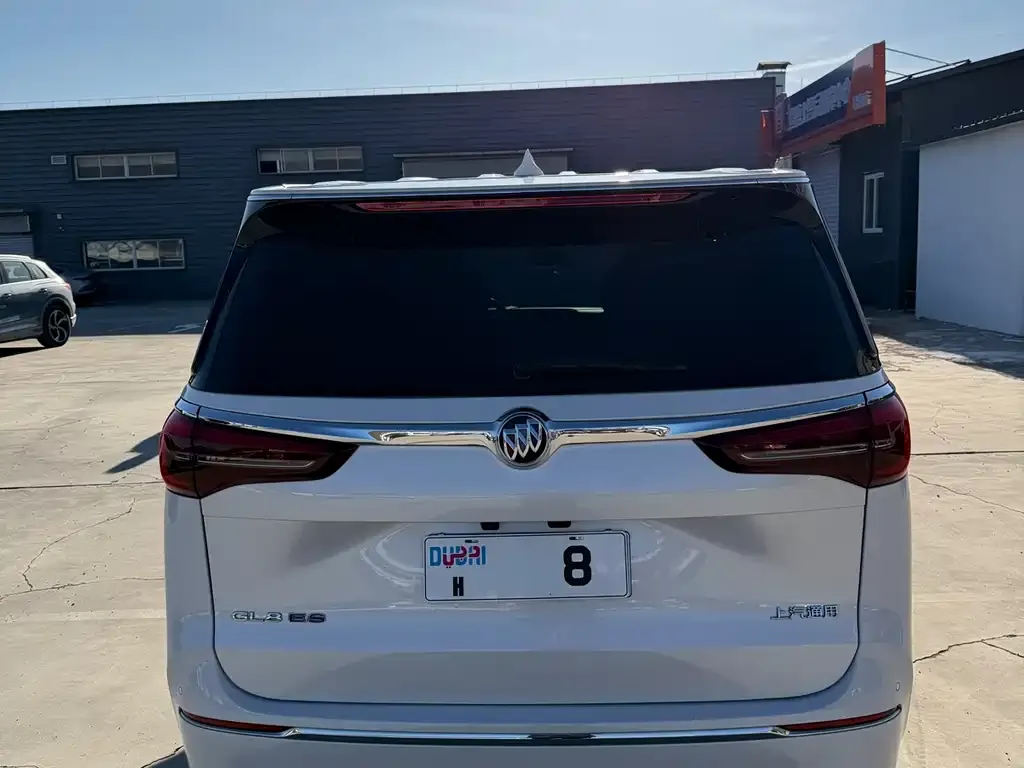 Buick GL8 2024 из CN, фото 8