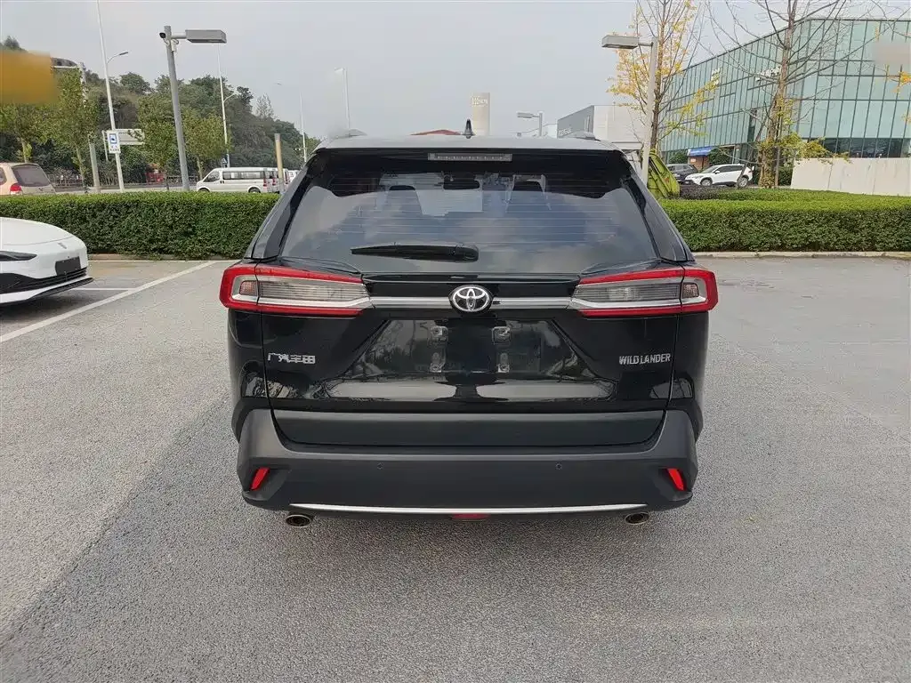 Toyota Wildlander 2023 из CN, фото 6