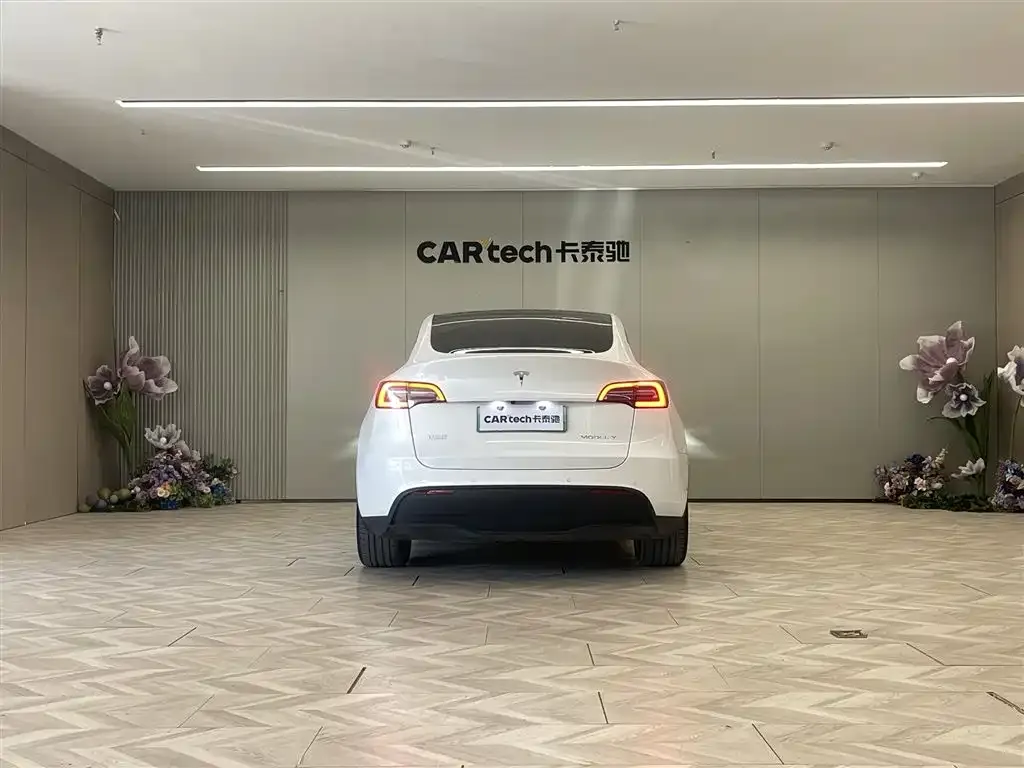 Tesla Model Y 2023 из CN, фото 6