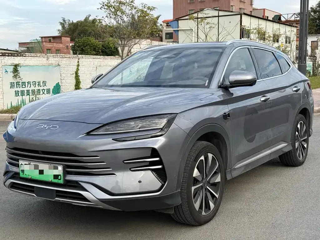 BYD PLUS New Energy 2025 из CN, фото 1