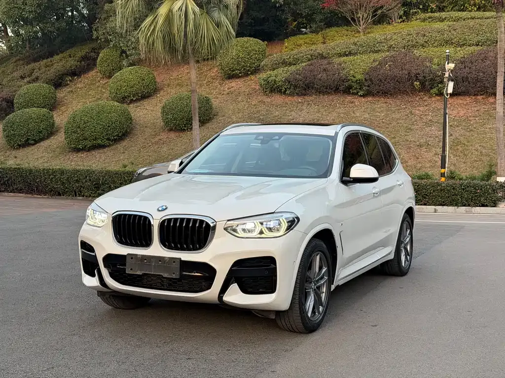 BMW X3 2021 из CN, фото 1