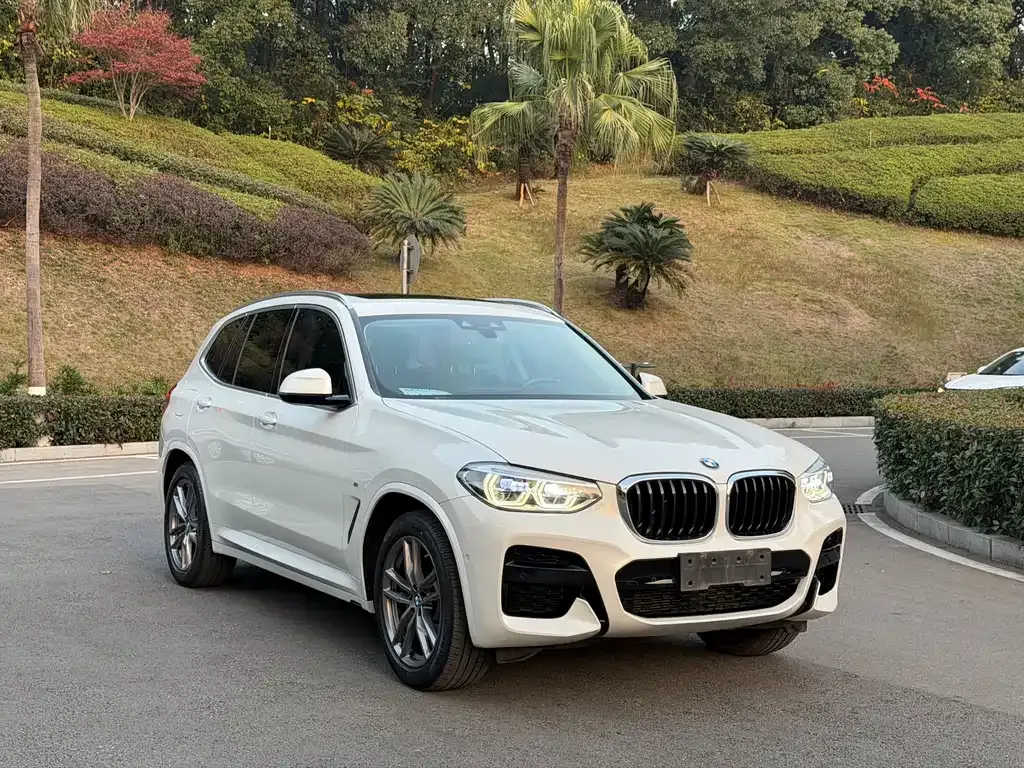 BMW X3 2021 из CN, фото 3