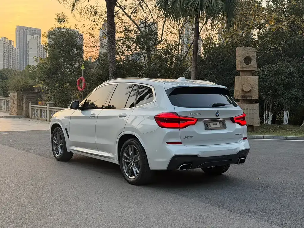BMW X3 2021 из CN, фото 5
