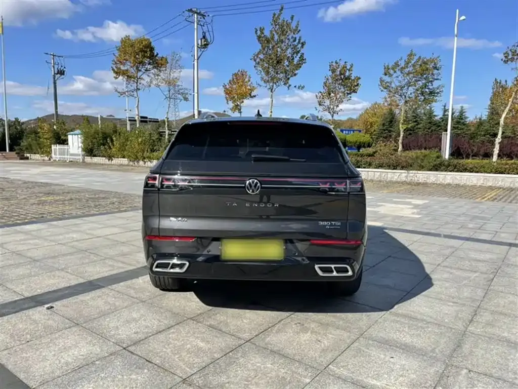Volkswagen Tavendor 2023 из CN, фото 6