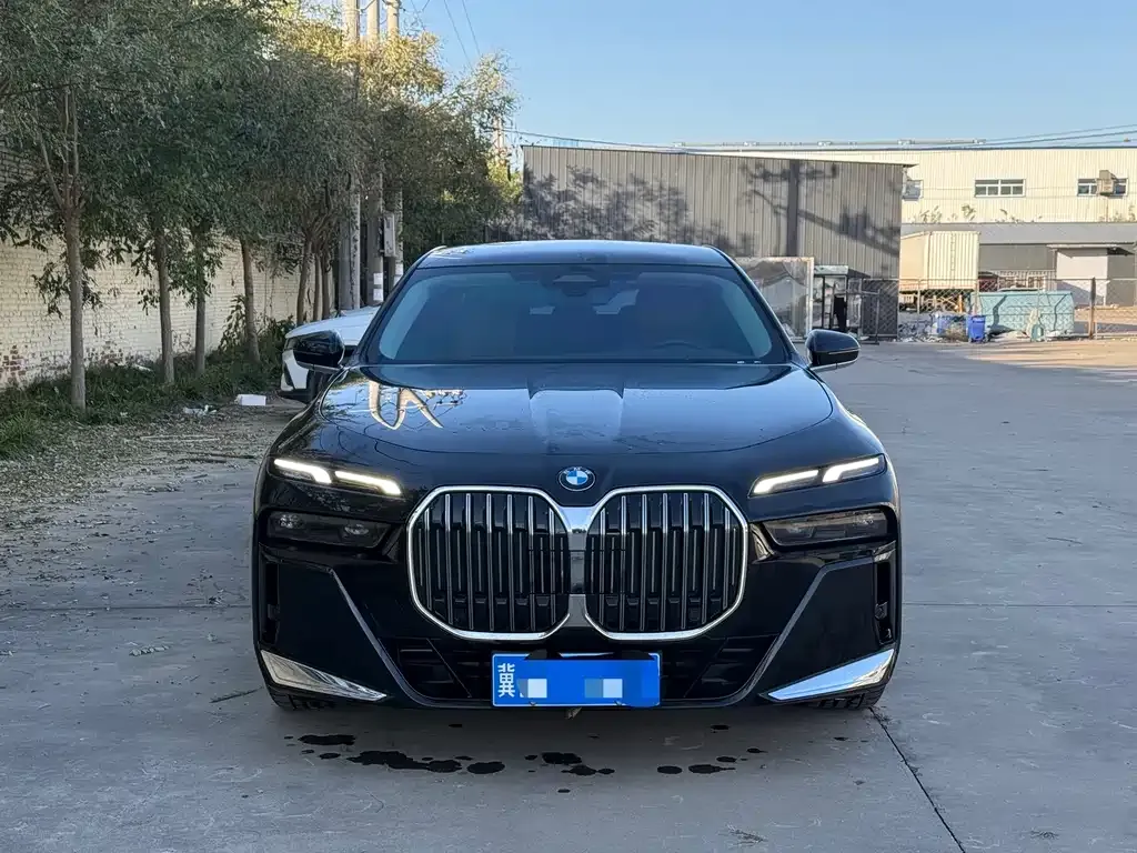 BMW 7 Series 2023 из CN, фото 3