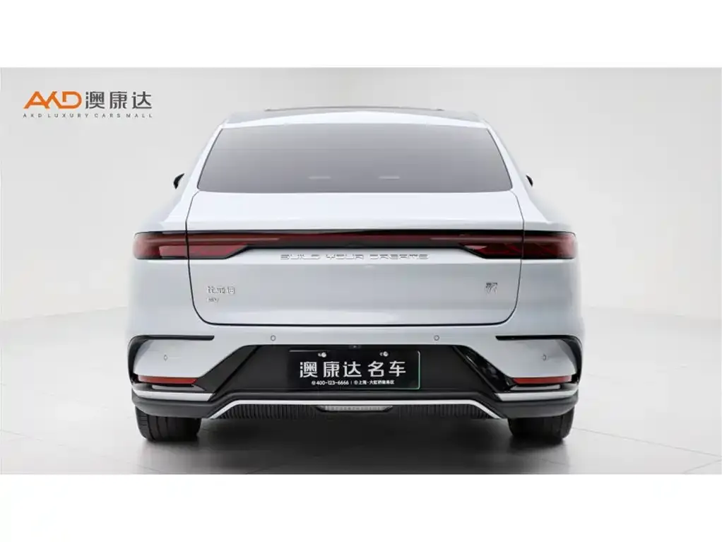 BYD Han 2024 из CN, фото 4