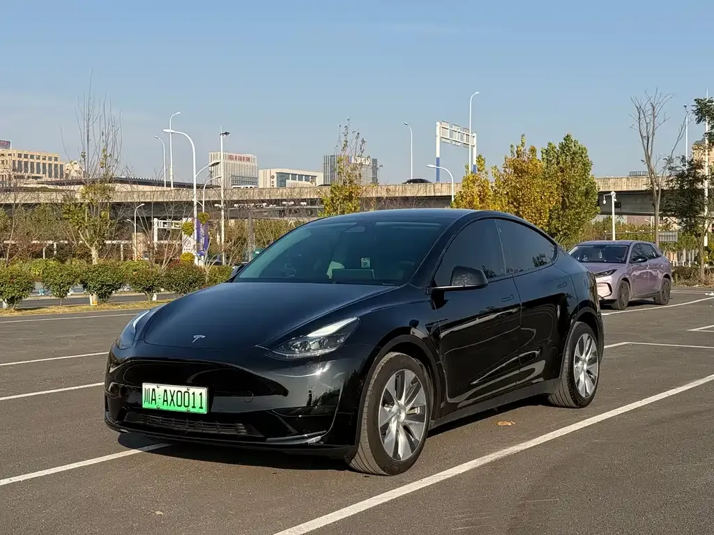 Tesla Model Y 2023 из CN, фото 1