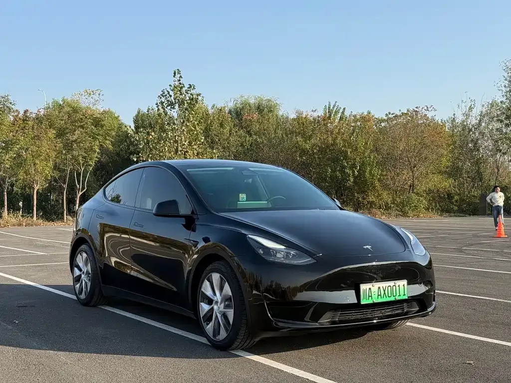 Tesla Model Y 2023 из CN, фото 2