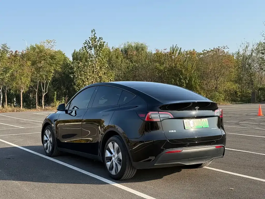 Tesla Model Y 2023 из CN, фото 4