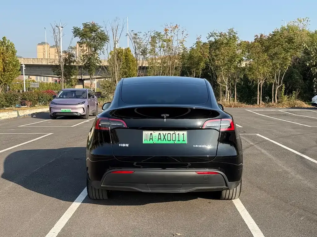 Tesla Model Y 2023 из CN, фото 5