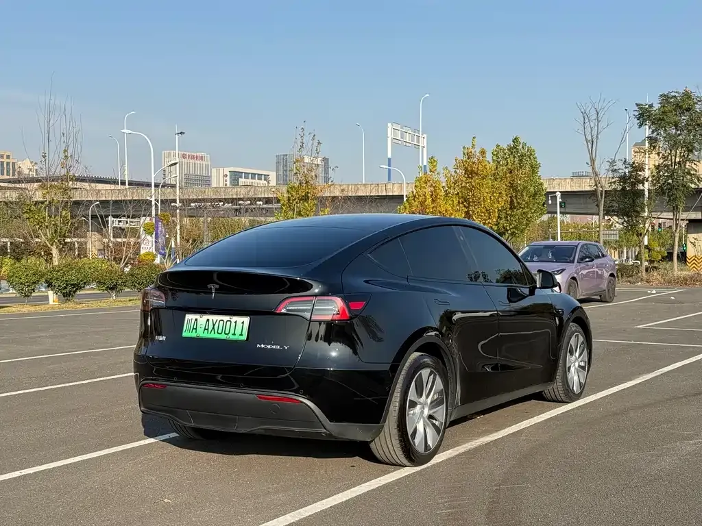 Tesla Model Y 2023 из CN, фото 7