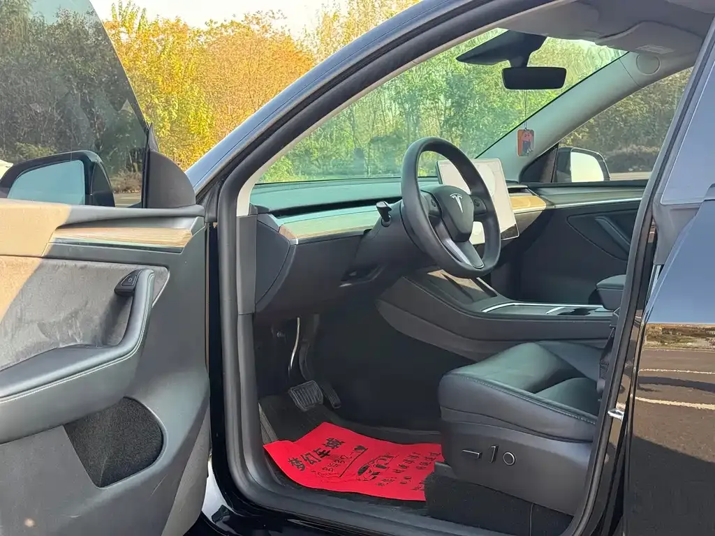 Tesla Model Y 2023 из CN, фото 8