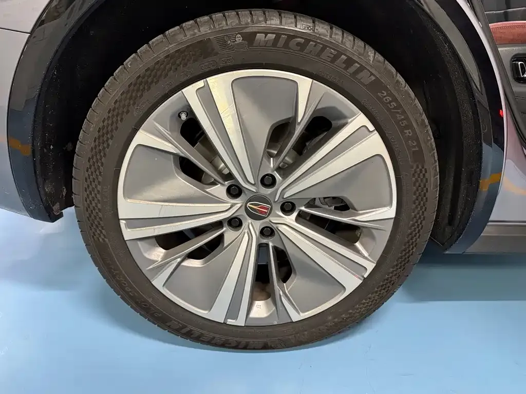 Hongqi E-HS9 2024 из CN, фото 10
