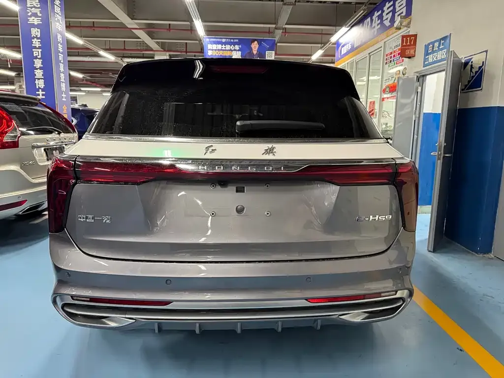 Hongqi E-HS9 2024 из CN, фото 4