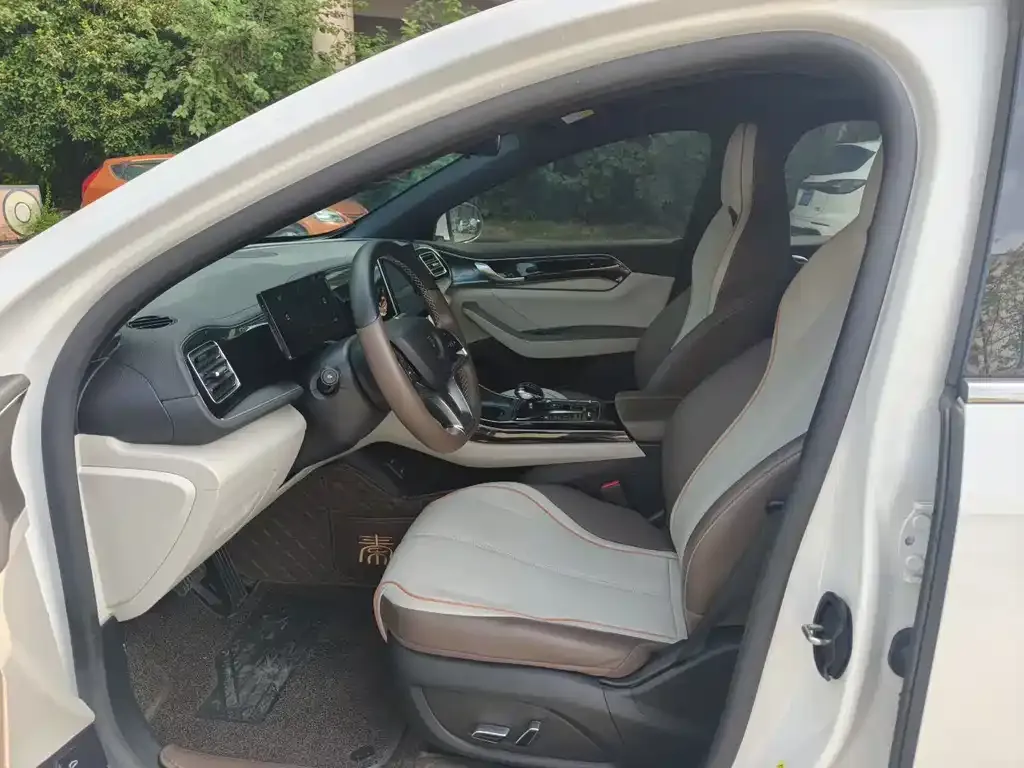 BYD Qin PLUS 2024 из CN, фото 5