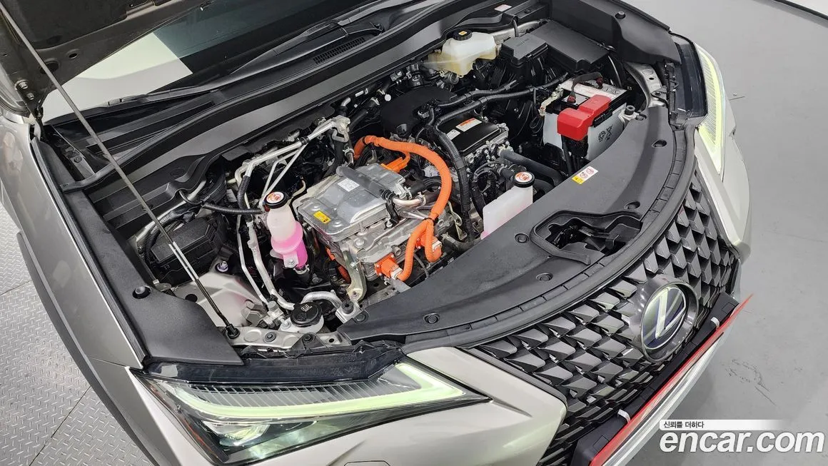 Lexus UX 2022 из KR, фото 6