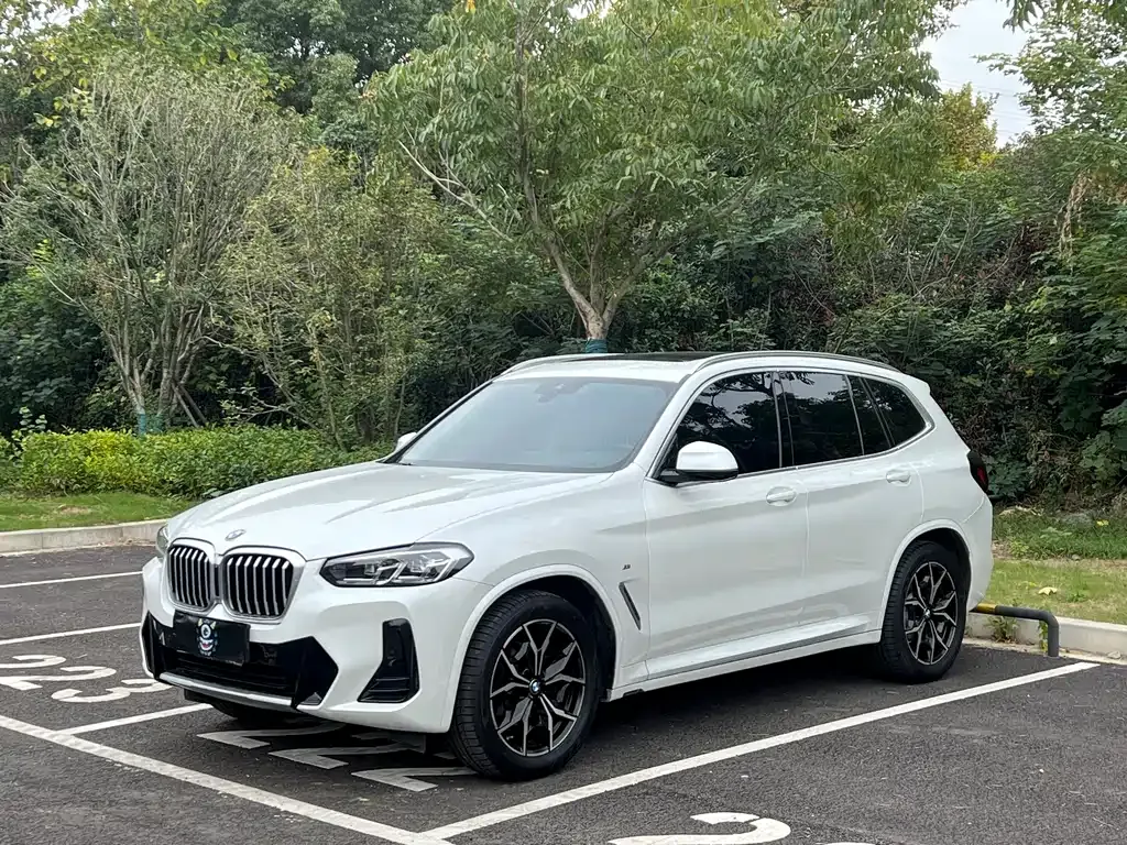 BMW X3 2022 из CN, фото 1