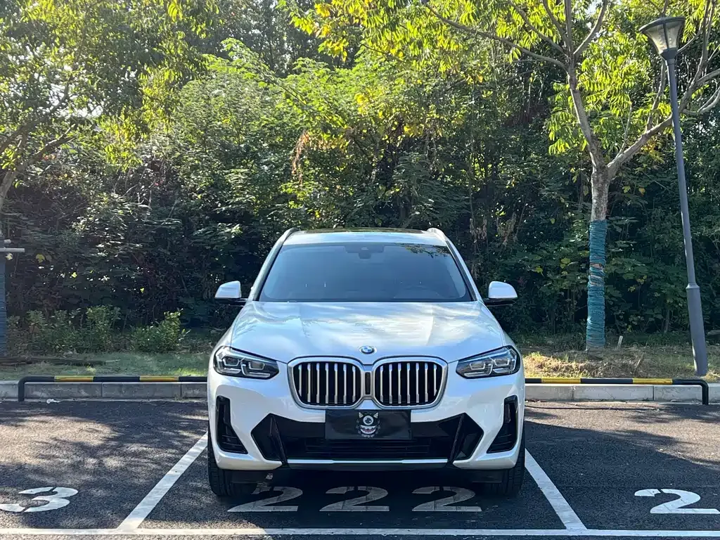 BMW X3 2022 из CN, фото 2