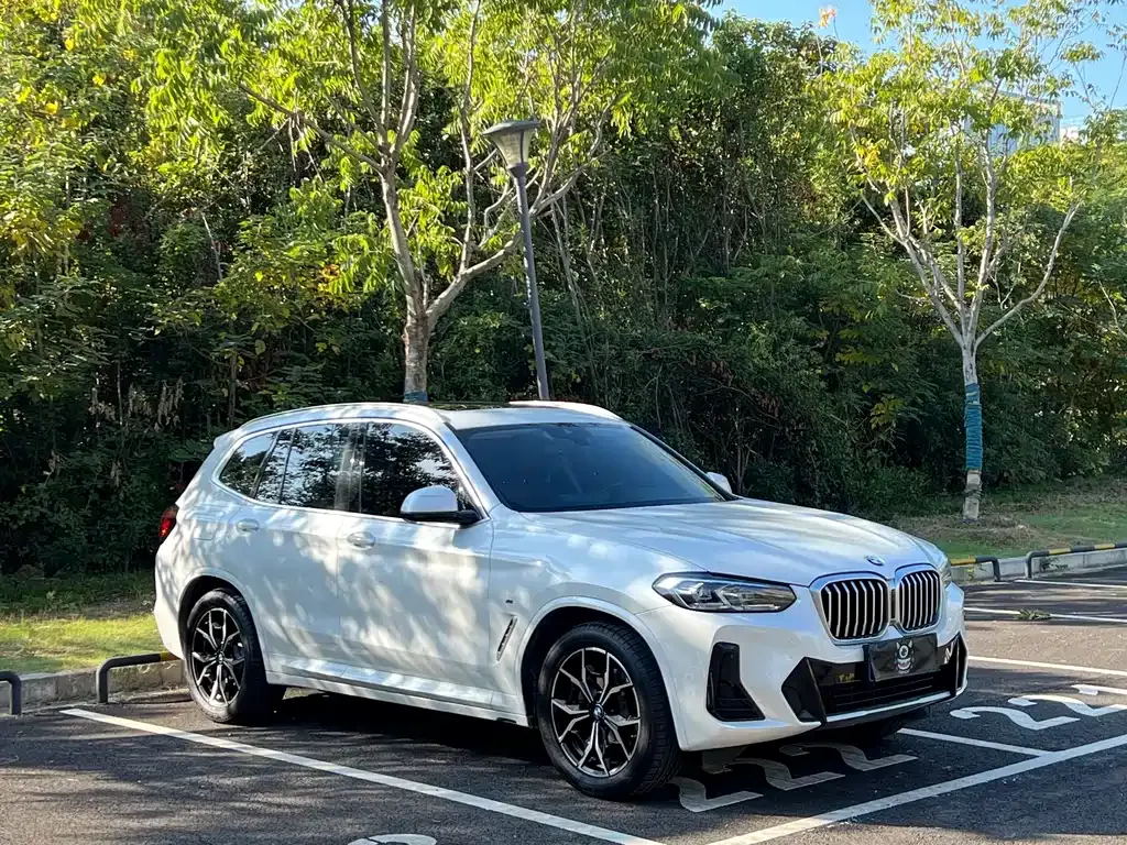 BMW X3 2022 из CN, фото 3
