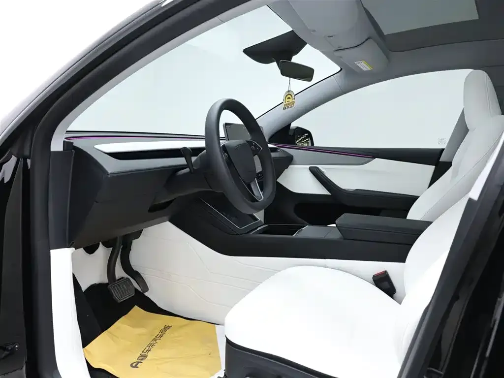 Tesla Model Y 2025 из CN, фото 10